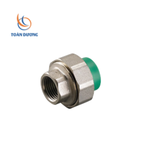 RẮC CO GIÃN REN TRONG 